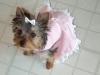 Pixs I had to share-littlest-princess.jpg