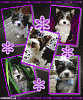 Lets see them as a baby and how they look now!-reggie-imikimi.gif