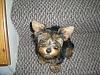 those who have taped ears up....-phpkqyepepm.jpg