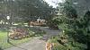 The view from my window at work-view.jpg