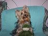 Where or where did my little girl go...-myfrog.jpg