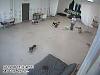 Doggy Daycare??-20080911151040.jpg