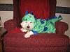 What are your pups going to be for Halloween?-tn_img_0296.jpg