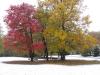 Post your autumn pics!-10-25-pretty-600-x-450-.jpg