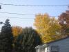 Post your autumn pics!-fall-001.jpg