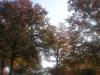 Post your autumn pics!-fall-005.jpg