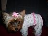 Bella in her new Jammies-102_0319.jpg