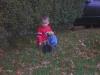 Little Kids & Yorkies...-tuck-luke-010.jpg