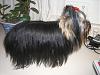 Roxie's coat is coming along-1005-013-600-x-450-.jpg