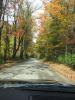 Post your autumn pics!-roadahead-450-x-600-.jpg