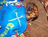 Funny Pictures of your Yorkie!-spike-sleeping.jpg