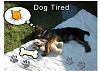 Hello everyone-dog-tired-small-1.jpg