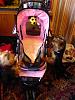 Strollers have you got one for your baby/babies ?-before.jpg
