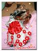 My Yorkie Dressed in *FurBabiesDress*-redruffledress1.jpg