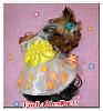 My Yorkie Dressed in *FurBabiesDress*-orangeflower1.jpg