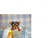 The King For the Bed I made!!!!-yorkie1.jpeg