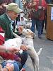 My dog loves Central Park Country Fair on Saturday-picture-046.jpg