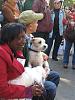 My dog loves Central Park Country Fair on Saturday-picture-047.jpg