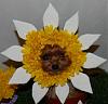 YorkieTalk Fourth Annual Halloween Contest (2008) - SUBMIT YOUR ENTRIES!-6-600-x-574-.jpg