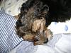 Picture's of babie's sleeping:-dsc006722.jpg