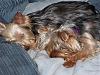 Picture's of babie's sleeping:-max-izzy2.jpg