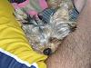 Picture's of babie's sleeping:-gracie-outside-010.jpg