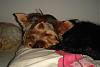 Picture's of babie's sleeping:-dsc09557-large-.jpg
