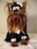 YorkieTalk Fourth Annual Halloween Contest (2008) - SUBMIT YOUR ENTRIES!-2008_10_27-148.jpg