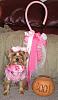 YorkieTalk Fourth Annual Halloween Contest (2008) - SUBMIT YOUR ENTRIES!-littlerorybopeep.jpg
