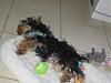 Picture's of babie's sleeping:-september060.jpg