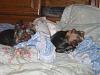 Picture's of babie's sleeping:-sleeping-002-600-x-450-.jpg