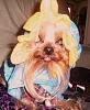 Can someone make me a moving avatar? Pwwwwease?-halloweencostumesfurkids2007-041.jpg