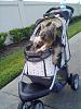 Stroller for Multiple Dogs-0804081857a.jpg