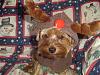 Do your babies have special holiday traditions?-cooper-christmas-2007.jpg