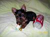 need help naming my new addition-l_e8f2adf6ec4c457698813b6ea4819649.jpg