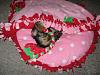 Missy and her Diggy4 bed & blankie-dig7.jpg