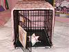 Crate Covers?-img_4012-1.jpg