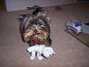 Play with me Mommy!-zaccheus-087.jpg