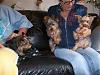 PICTURES of Stormy and the new pups!!!-stormybellaana.jpg