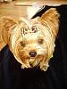 Need key and chicken-mojo10.jpg