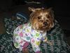 Need Jammies advice-img_3422.jpg