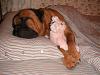 uh oh, i think i want a girl now!-7983a9cc.jpg
