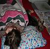 For those of you who let your yorkie sleep with you...-sleeping1.jpg