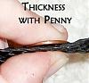 Nikko's Braided Leather Harness-thicknesswpenny.jpg