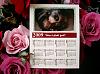 My New Store-milu-2009-calendar.jpg