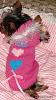 Knitting-dani-pink-sweater-bed-16-wks-1.jpg