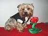 2009 YT Valentines Ball!-2-5-lucky-valentines-day.jpg