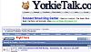 Need help writing a guide on "How to use Yorkietalk!"-new-thread.jpg