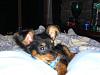 Calling All YT Boys -- COME JOIN!!!-gizmo069.jpg