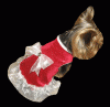 Looking for Yorkie Models~~-xmassplendor2-copy.gif